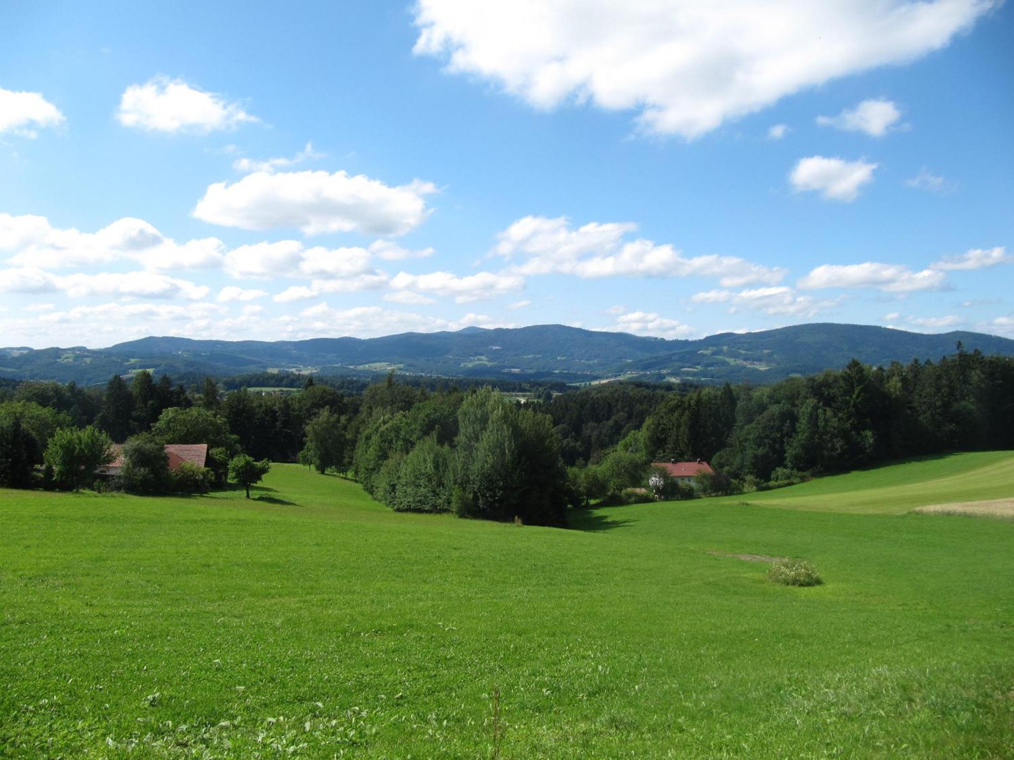 Buechelsteiner Hof Hotel Grattersdorf Exterior photo